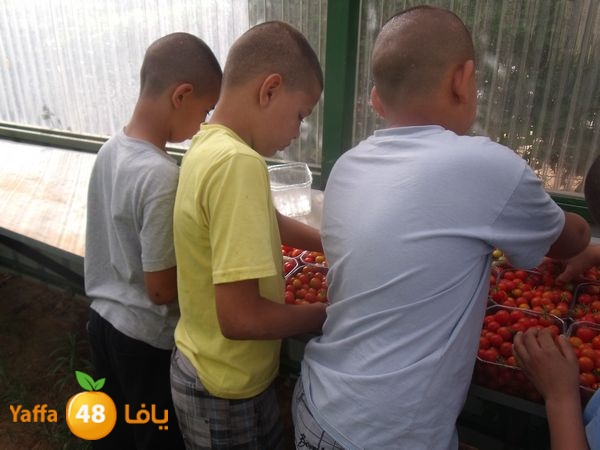 sooqelzahra2lud602 (52).JPG